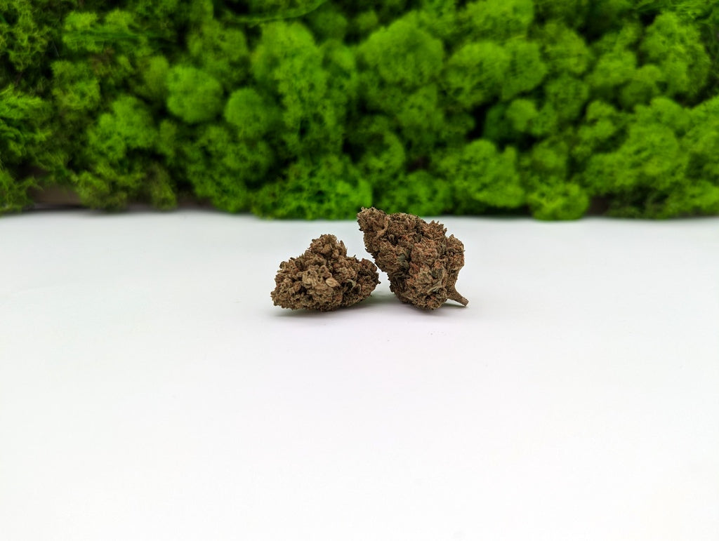 CBD - Harlequin (5% CBD)