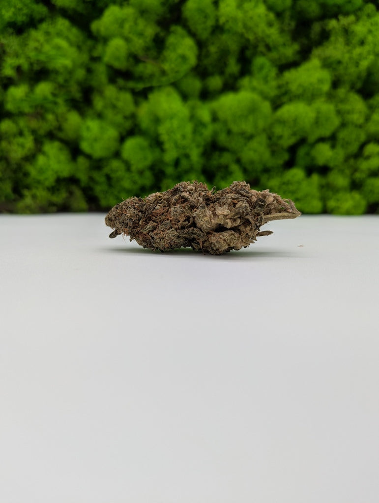 10HC - Dr. Diamond 💎 (10% 10HCP)