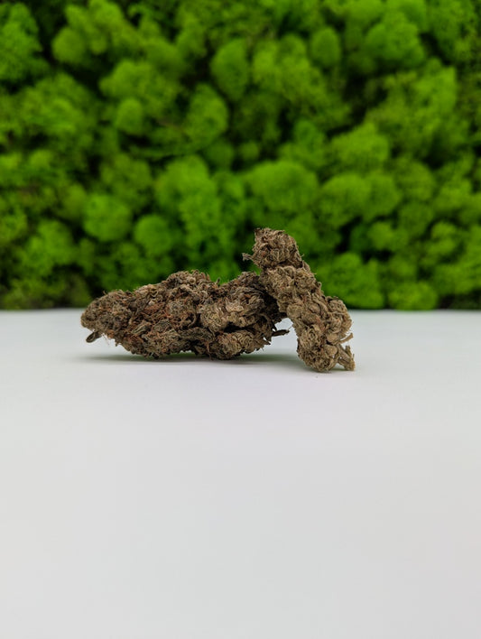 10HC - Dr. Diamond 💎 (10% 10HCP)