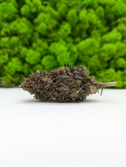 10-OH-HHC - Lemon King 🍋 (40% 10HC)