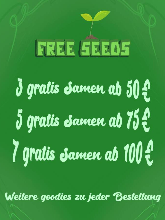 kostenlose cannabissamen