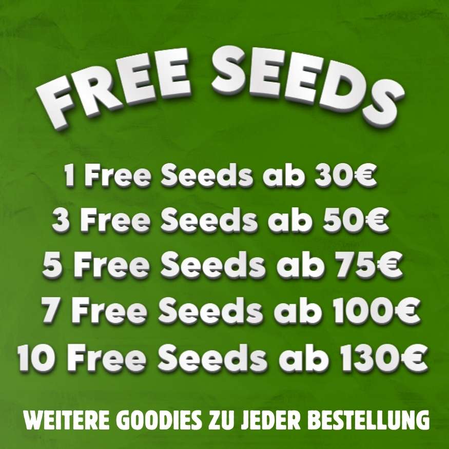 Gratis cannabissamen