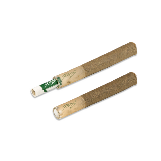 PURIZE Glass Adapter Regular Size