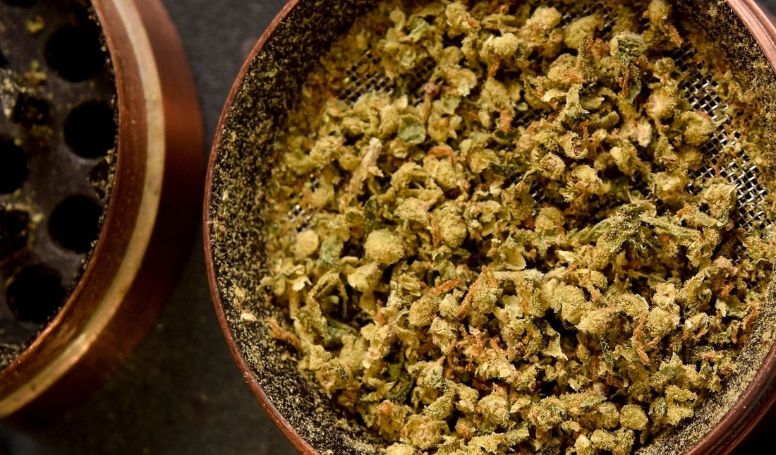 Bester Grinder: Wir stellen die besten Modelle vor