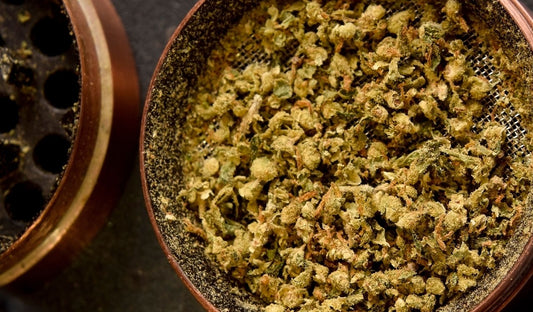 Bester Grinder: Wir stellen die besten Modelle vor