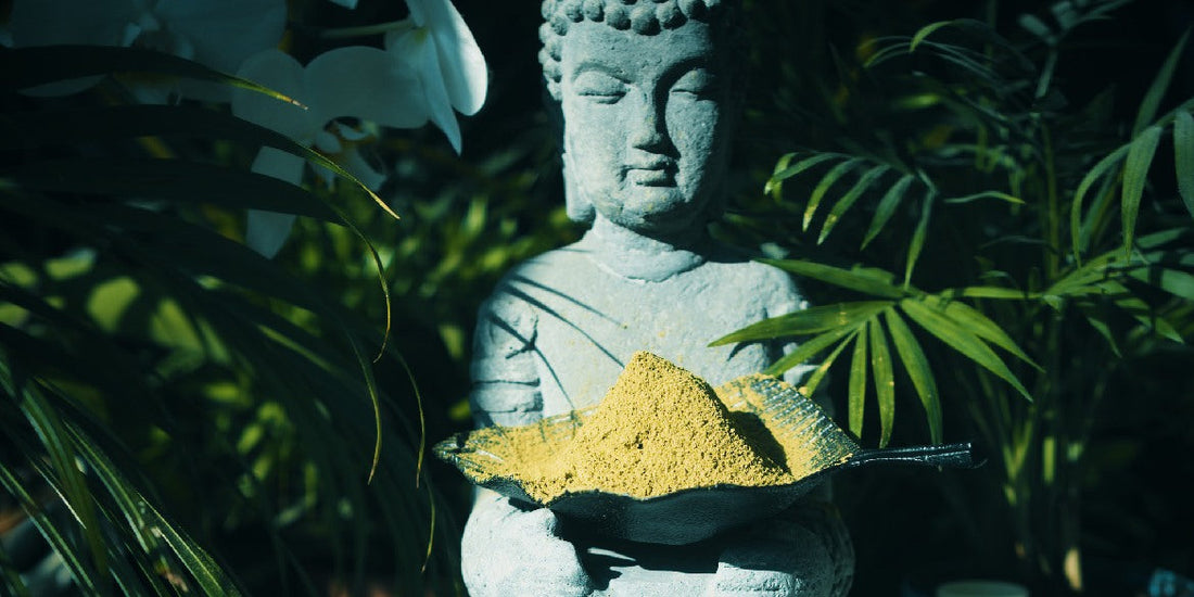 Kratom Dosierung: Mengen, Sorten & Einnahme-Guide