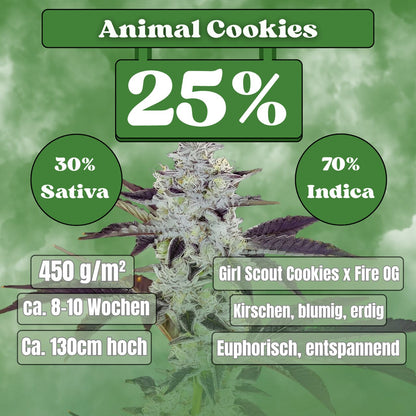 Cali Animal Cookies - Feminisiert (25% THC) 🌱