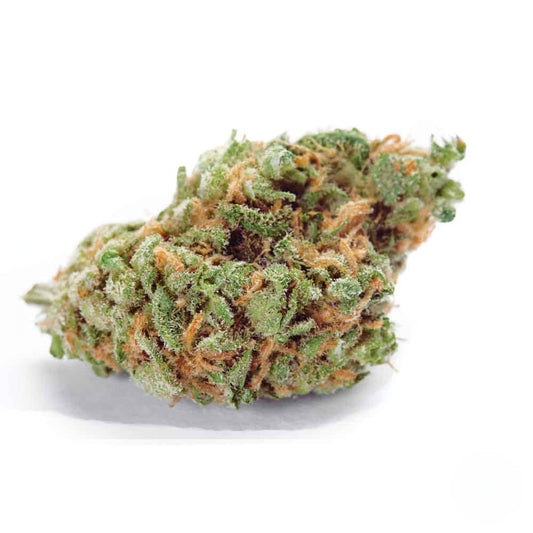 Amnesia Autoflower Samen (18% THC) 🌱