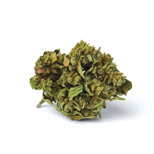 Blueberry Autoflower Seeds (20% THC) 🌱