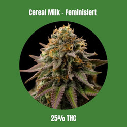Cereal Milk - Feminisiert 🌱