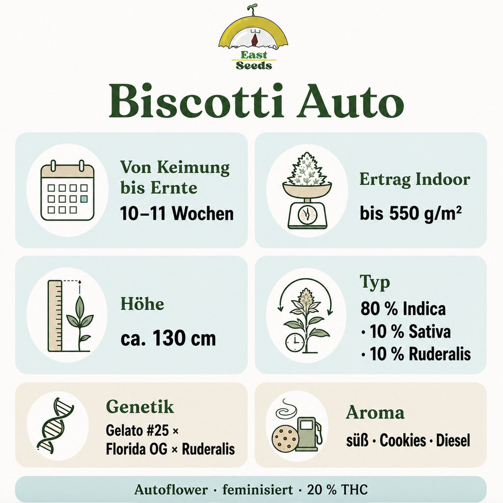 Biscotti Samen - Autoflower sorteninformation