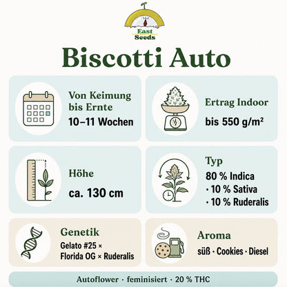 Biscotti Samen - Autoflower sorteninformation