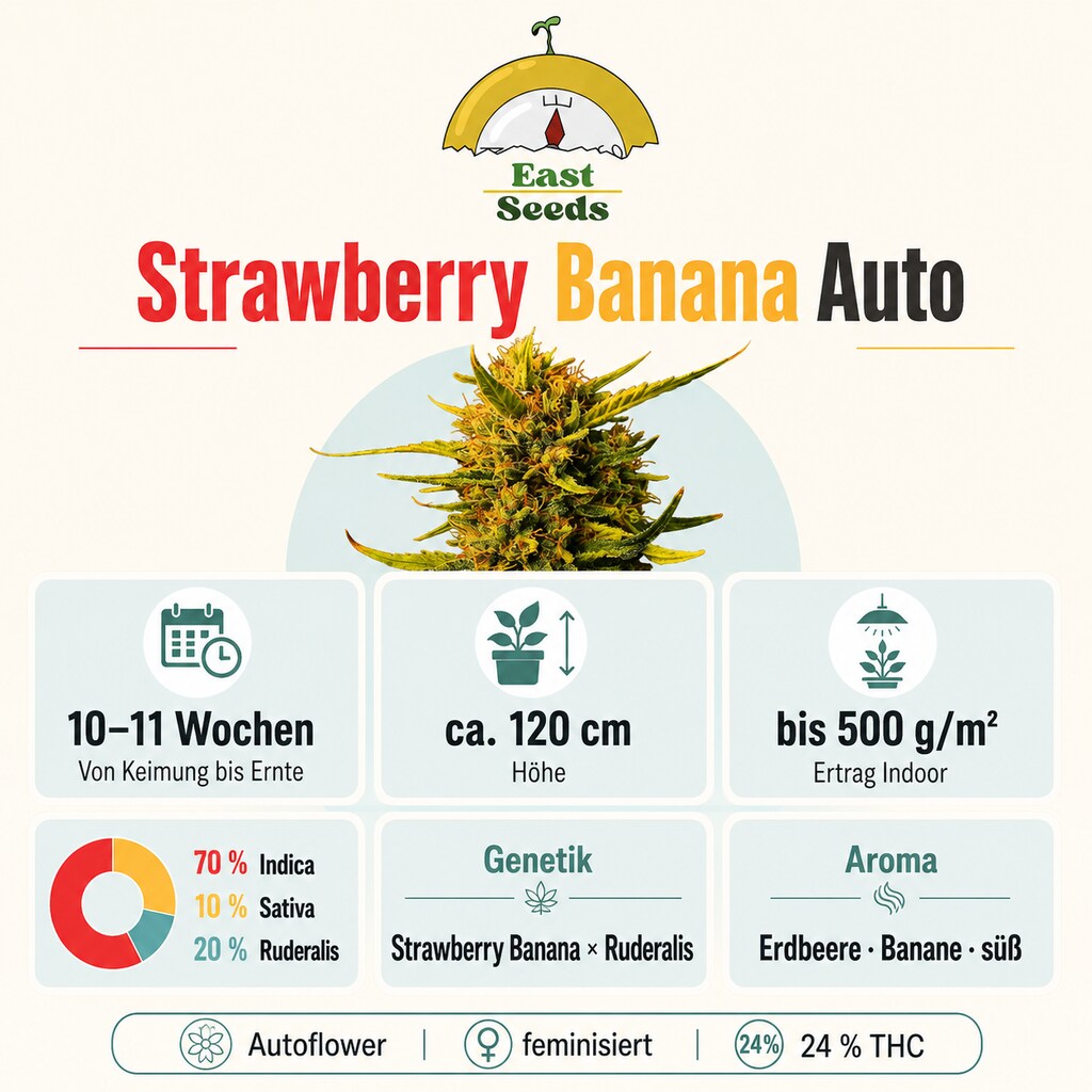 Strawberry Banana - Autoflower Sorteninformation