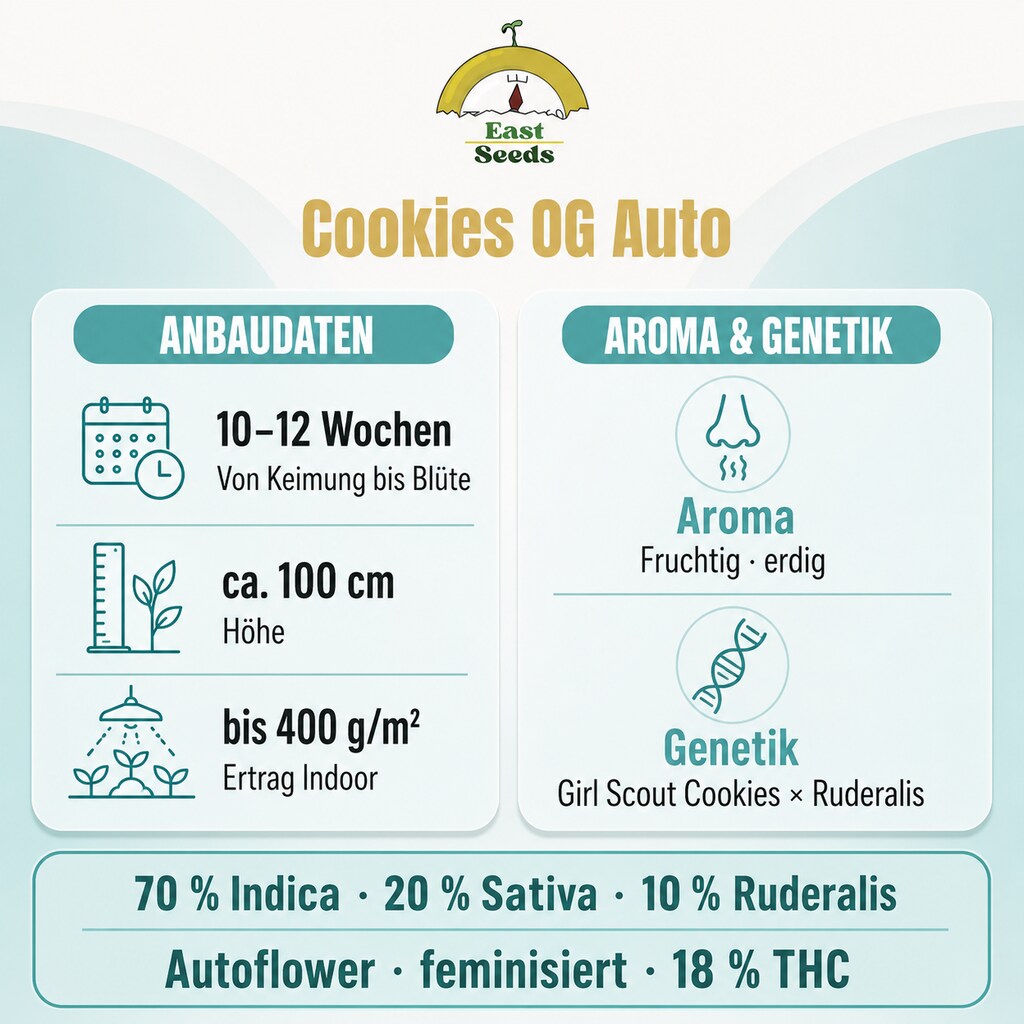 Cookies OG - Autoflower Sorteninformationen