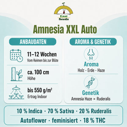 Amnesia XXL - Autoflower Sorteninformationen