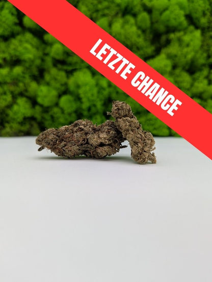 10HC - Dr. Diamond 💎 (10% 10HCP)