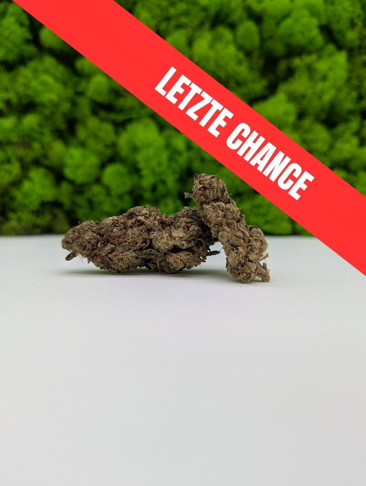 10HC - Dr. Diamond 💎 (10% 10HCP)