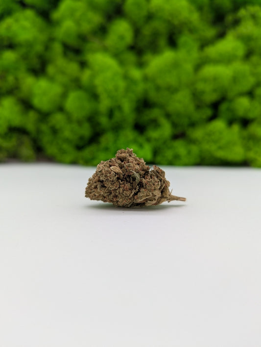 CBD - Harlequin (5% CBD)