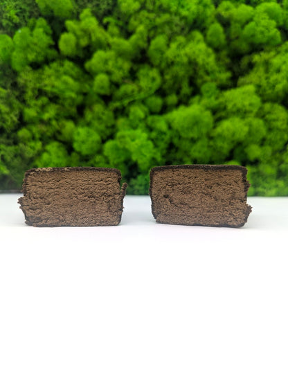 Superior Hash - Lemon Cheese Cake 🍋🍰