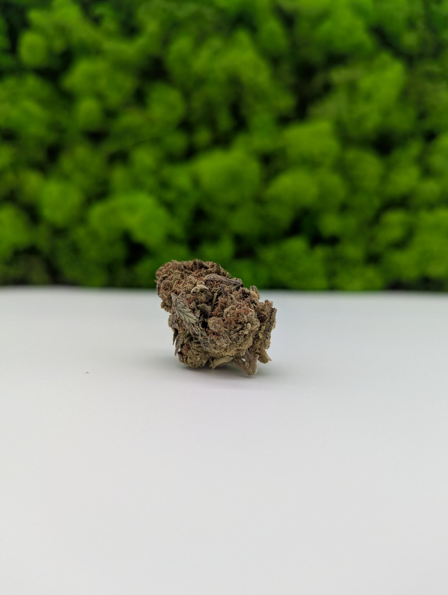 Superior - Frosted Cookies 🍪 (55% Superior)
