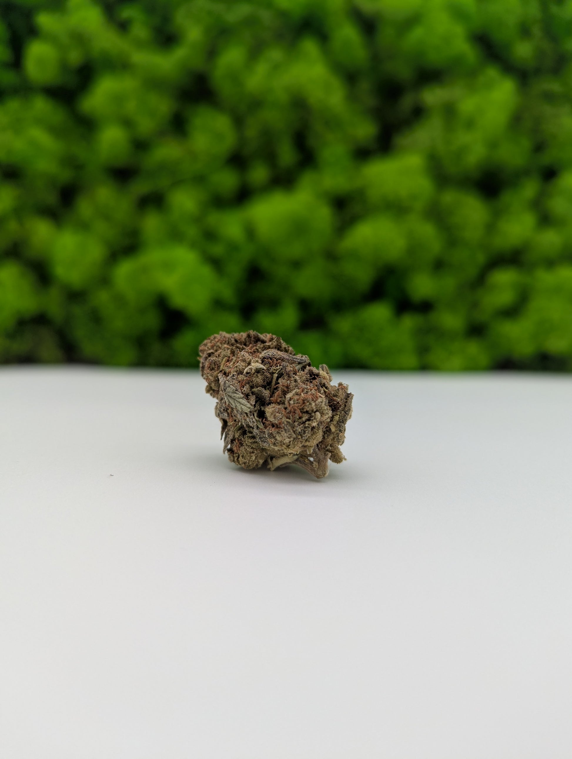 Superior - Frosted Cookies 🍪 (55% Superior)