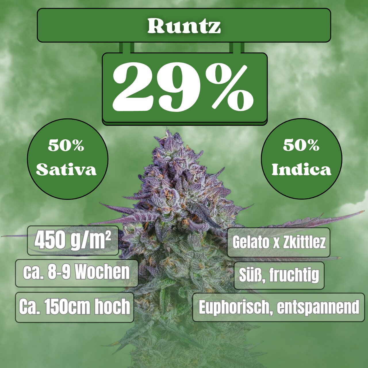 Cali Runtz - Feminisiert (29% THC) 🌱