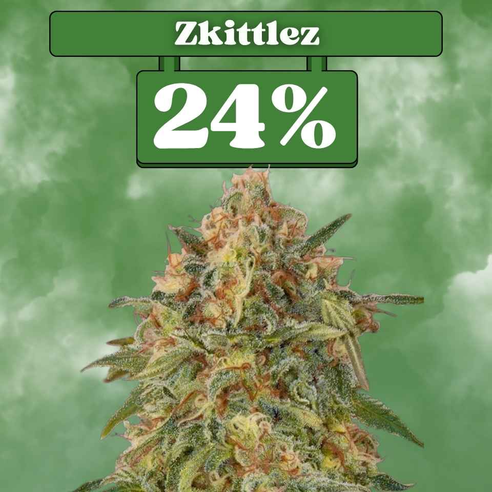 Zkittlez - Feminisiert 🌱