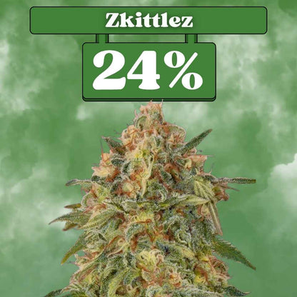 Zkittlez - Feminisiert 🌱
