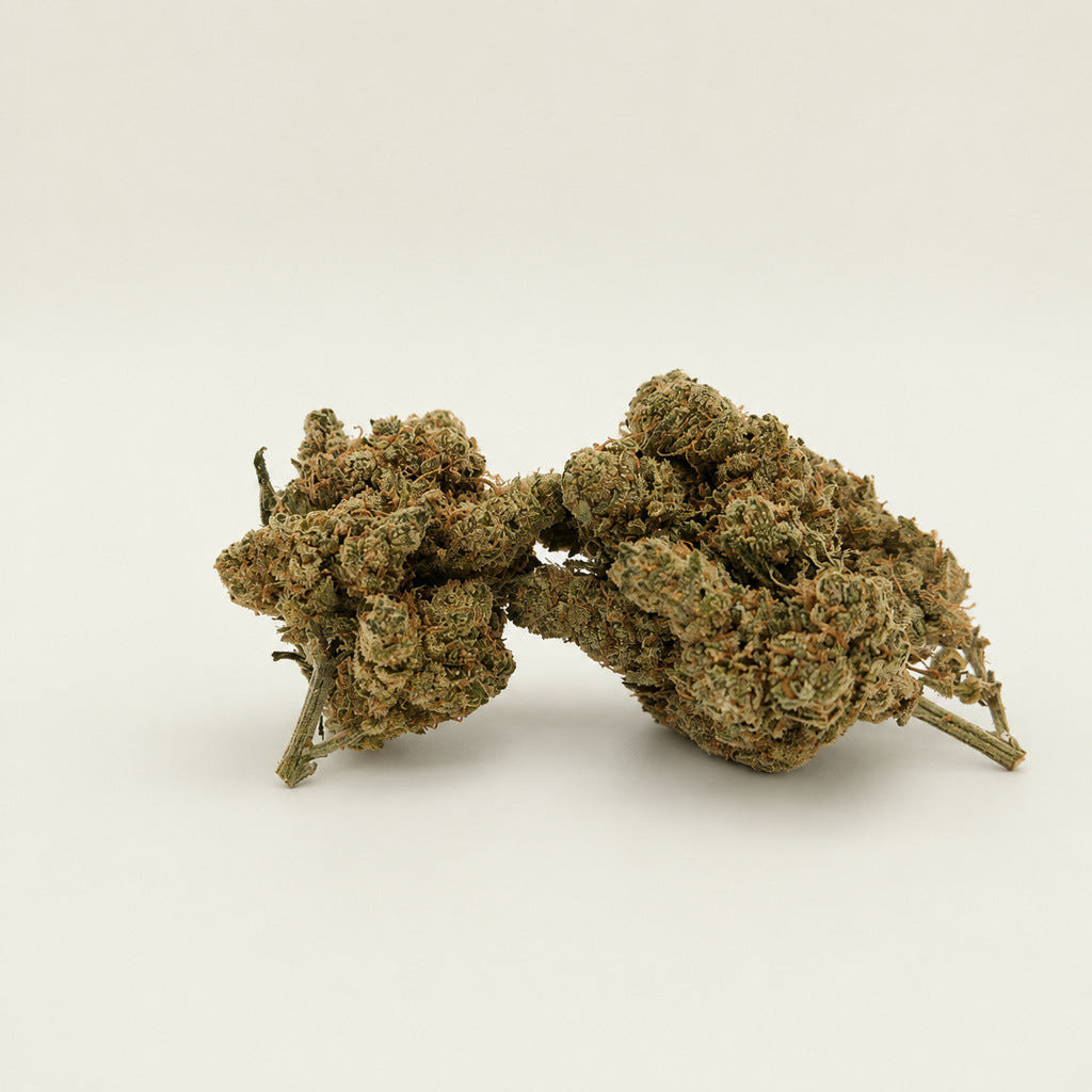 CBD - Amnesia Haze Blüte