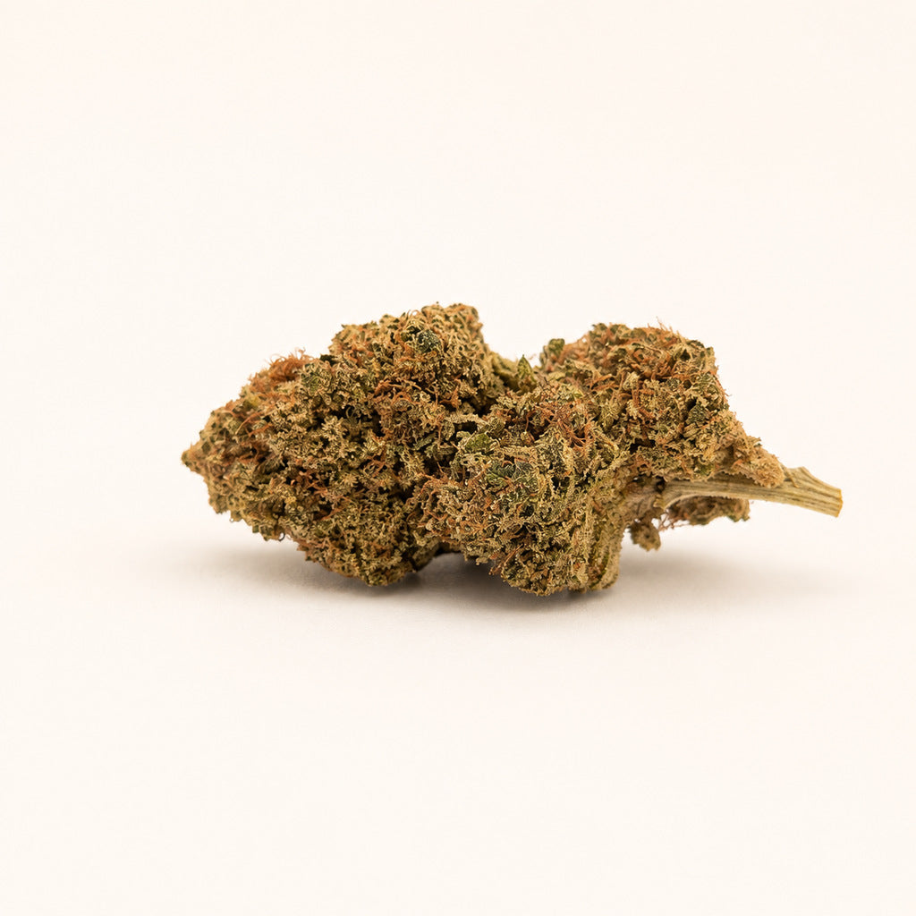 CBD - Banana Sour Blüte