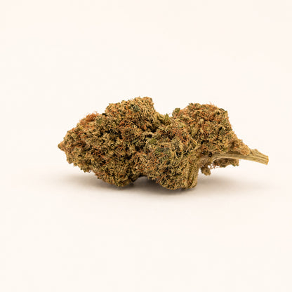 CBD - Banana Sour Blüte