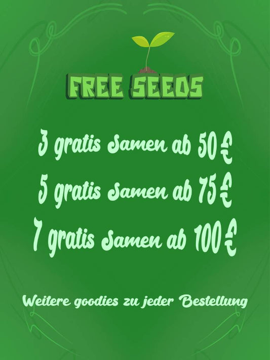 kostenlose cannabissamen