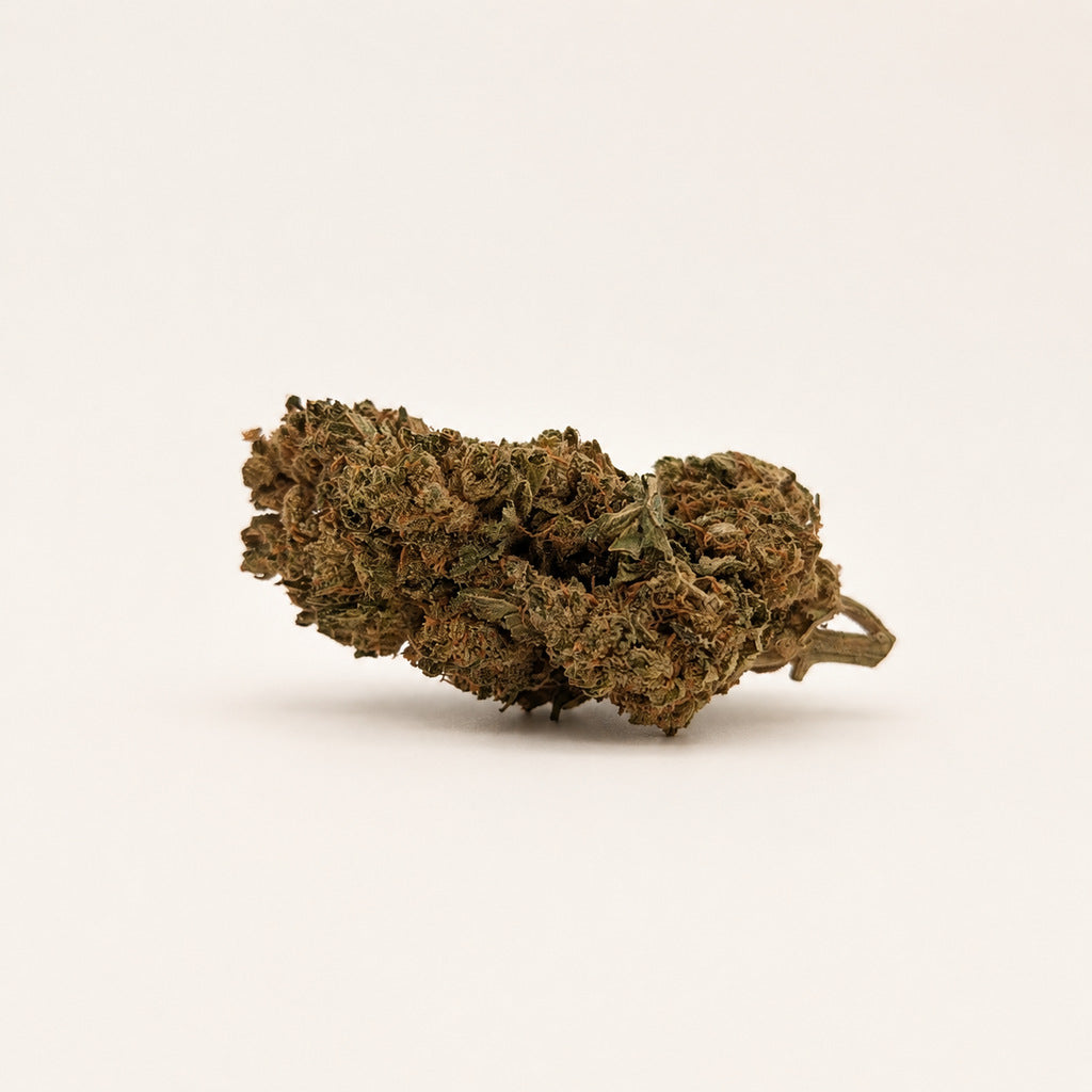 CBD - Watermelon Haze 🍉 (18% CBD)